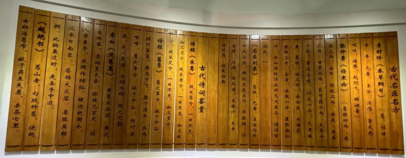 1754987581189672.jpg 葛根粉的藥用古籍.jpg