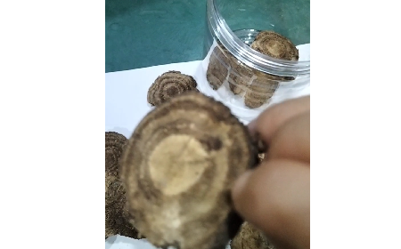 4 個細節識破假葛根:野生葛根片的形態密碼與鑒別指南